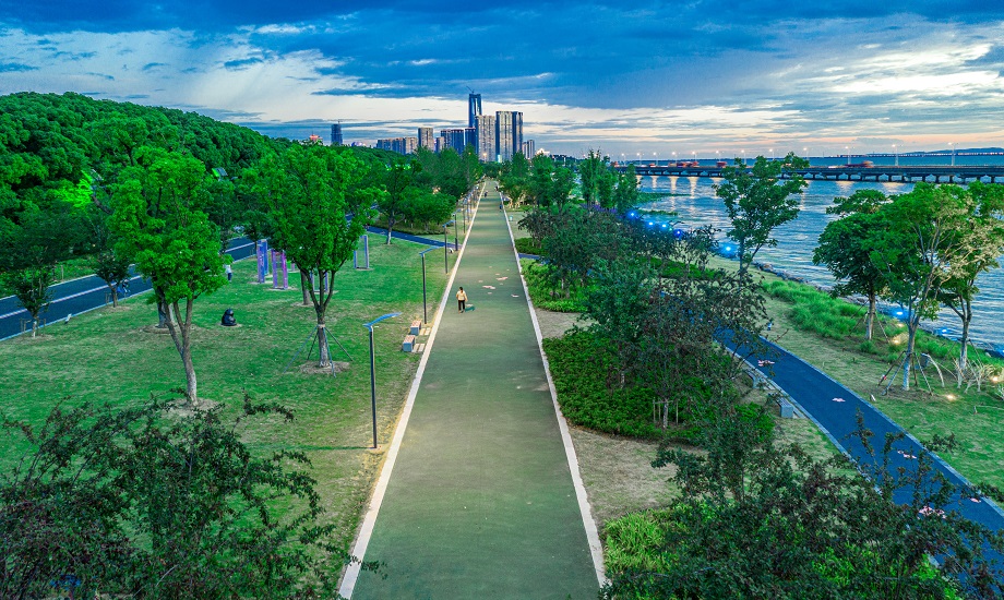 應(yīng)用案例