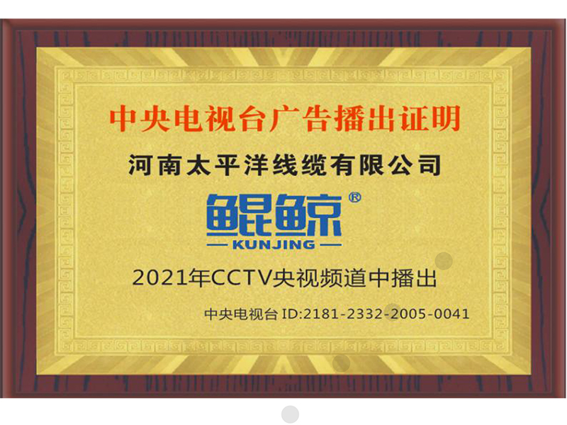 中央電視臺(tái)廣告播出證明
